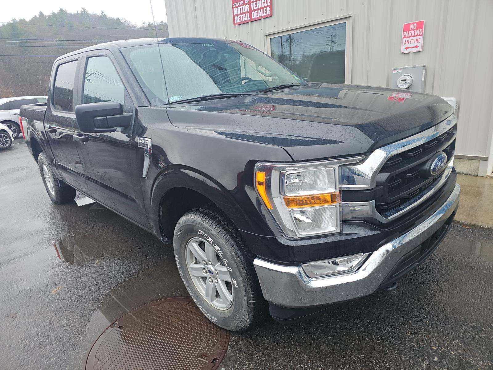 FORD F-150 - 4
