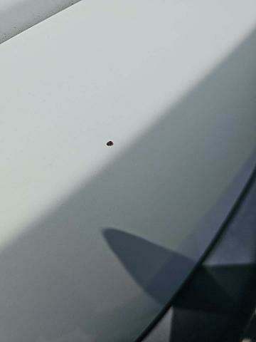 2011 Toyota FJ Cruiser Base AWD