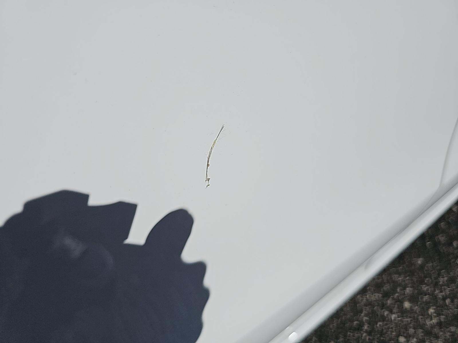 2024 Mercedes-Benz CLA CLA 250 AWD