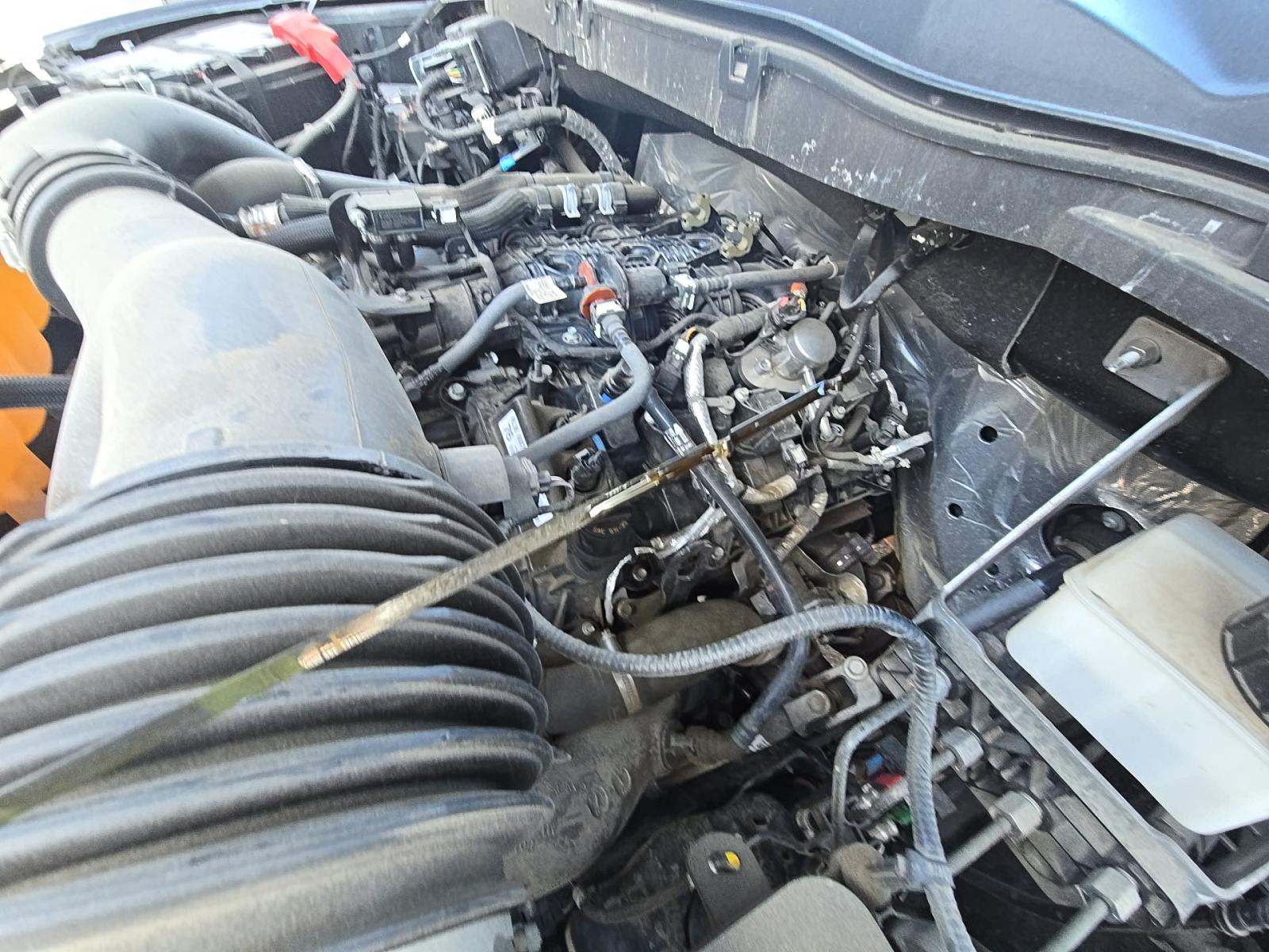 2024 Ford F-150 XLT AWD