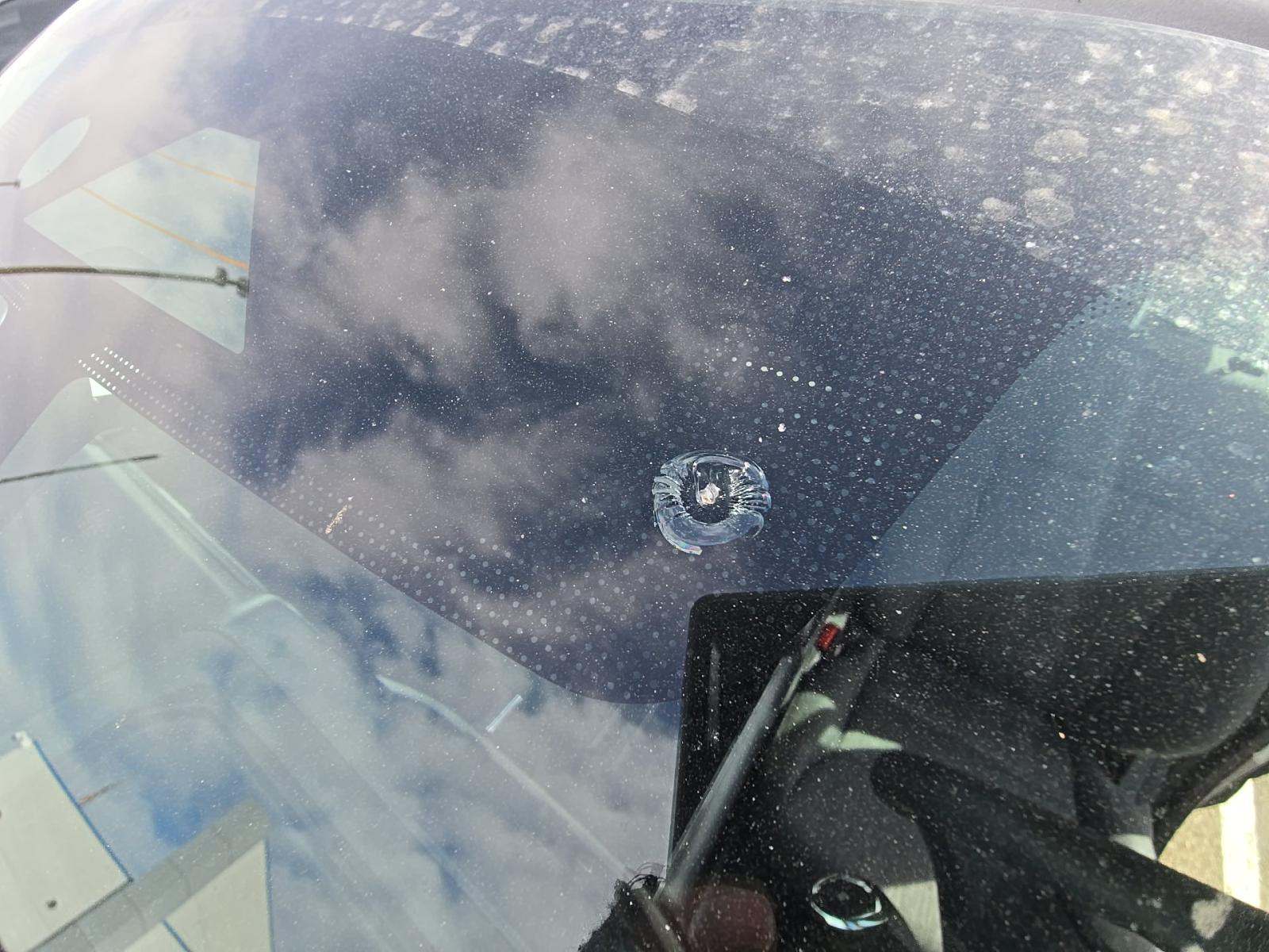 2021 Ford F-150 XL RWD