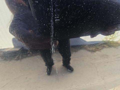 2016 Chevrolet Silverado 1500 LTZ Z71 AWD