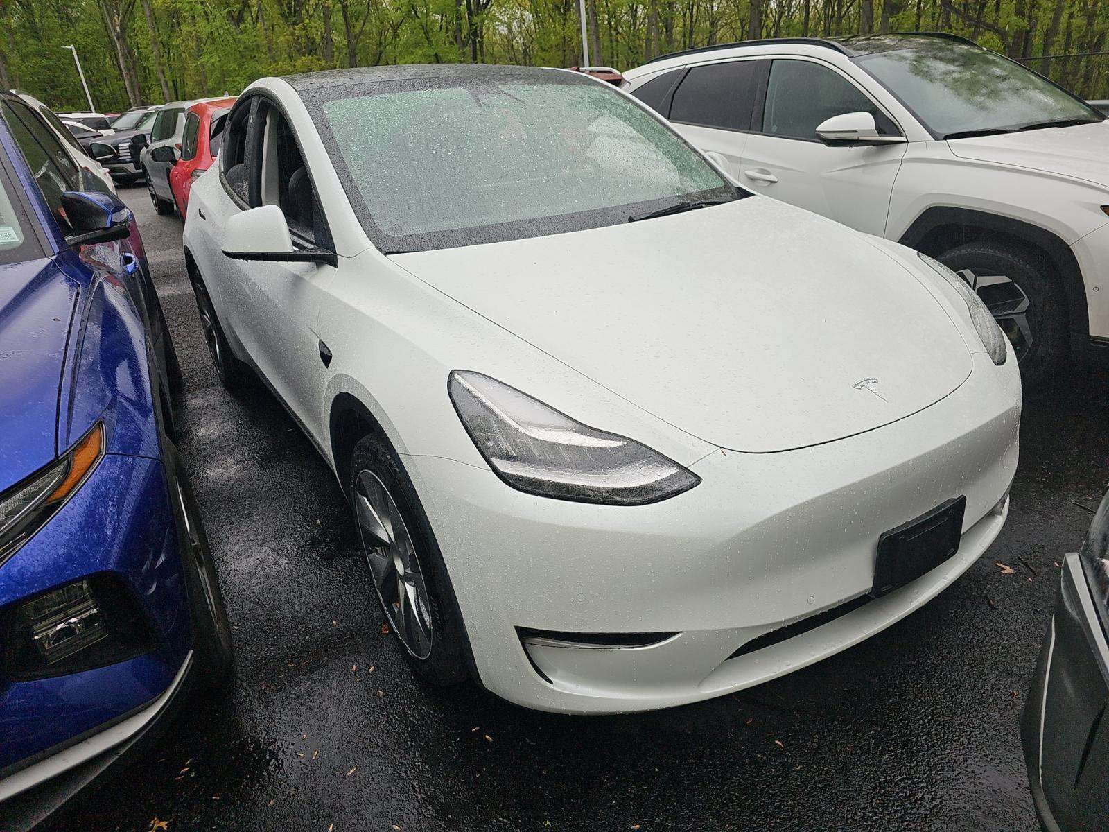TESLA MODEL Y - 4
