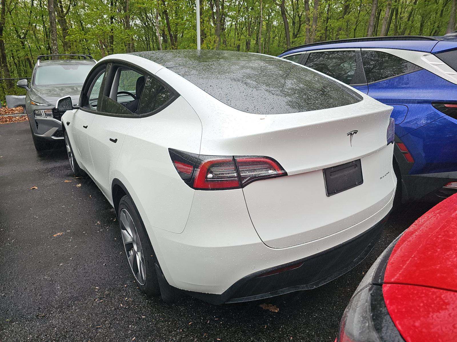 TESLA MODEL Y - 2