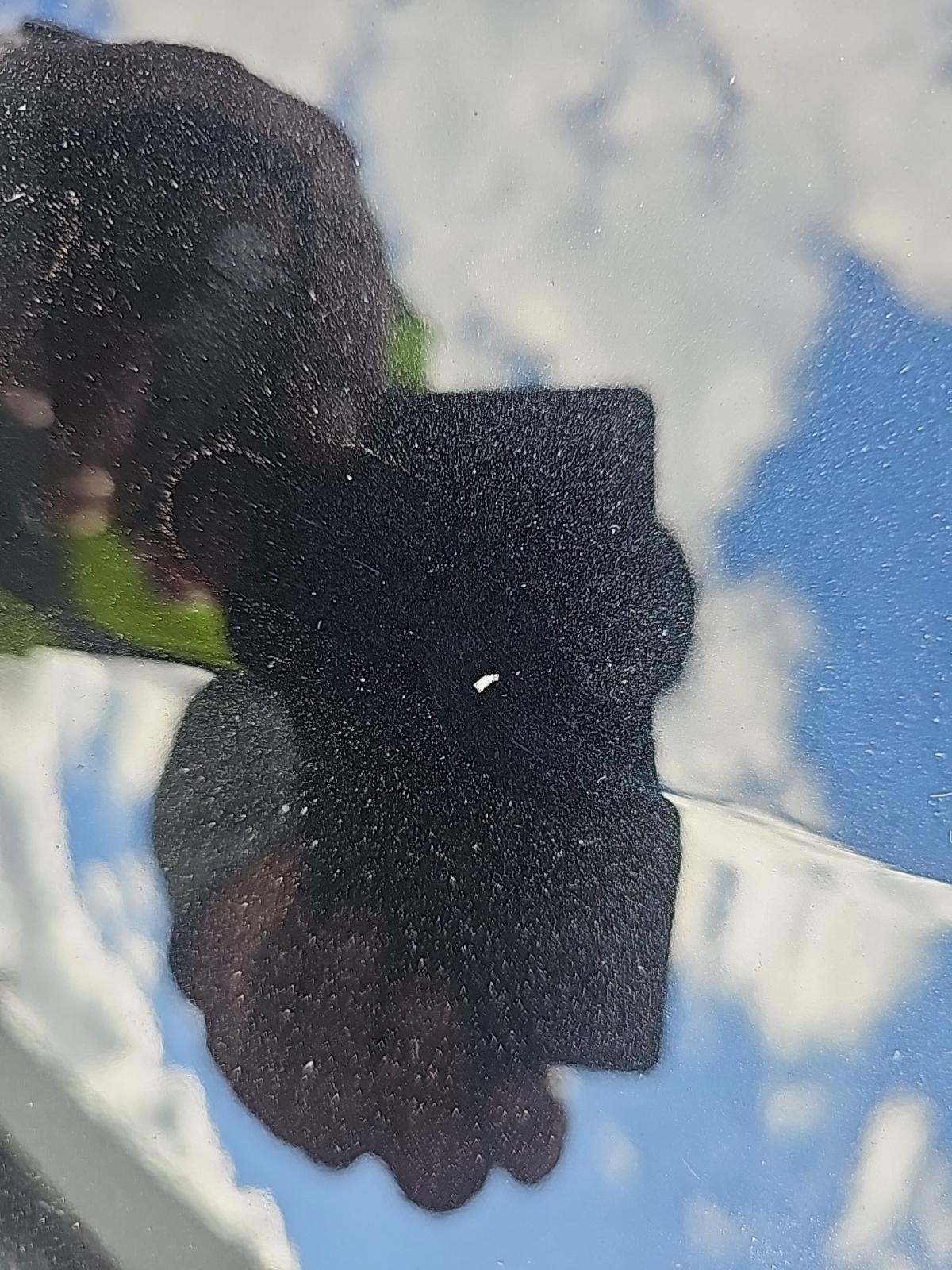 2022 BMW 4 Series M440i xDrive AWD