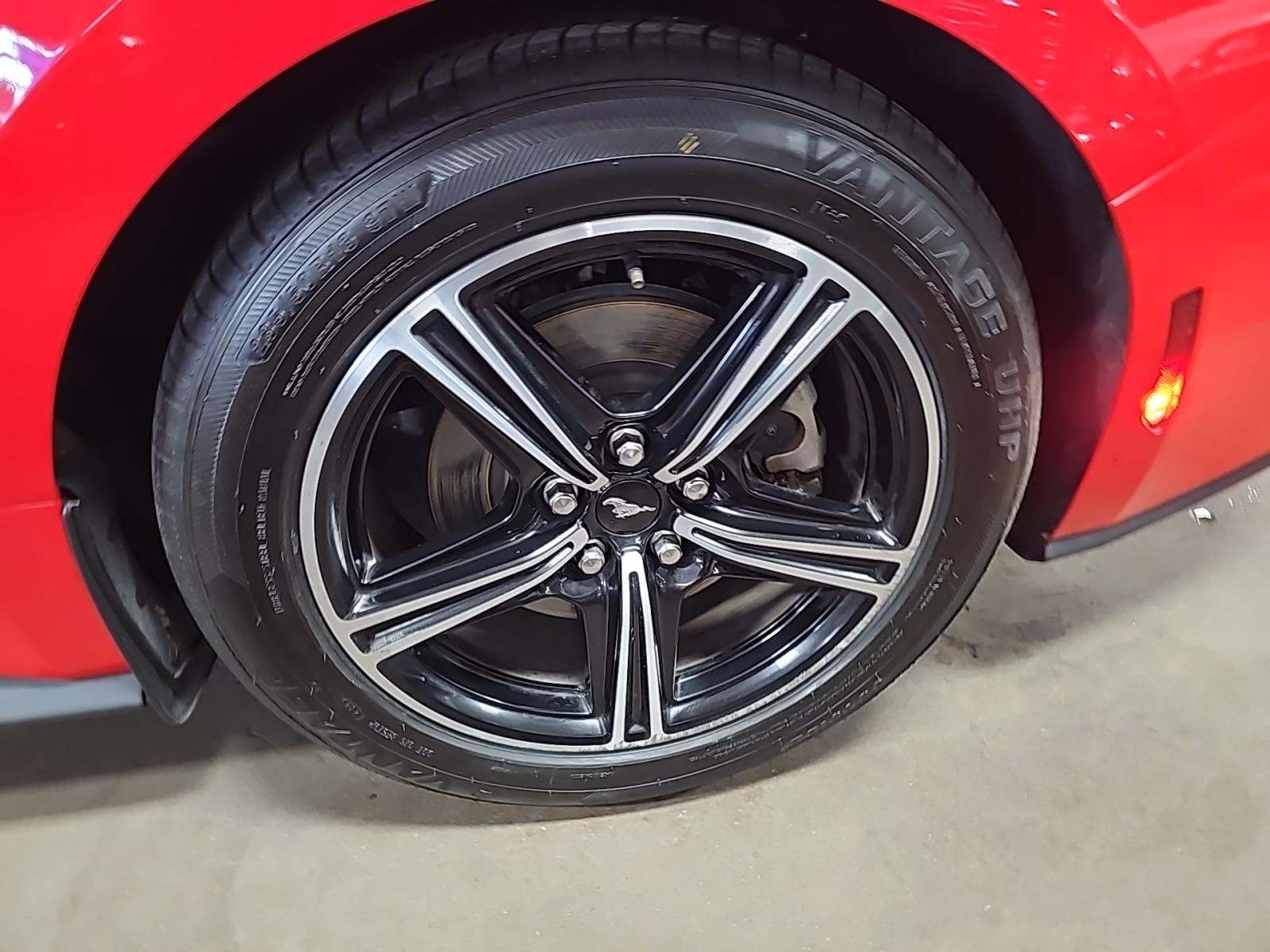 2024 Ford Mustang EcoBoost RWD