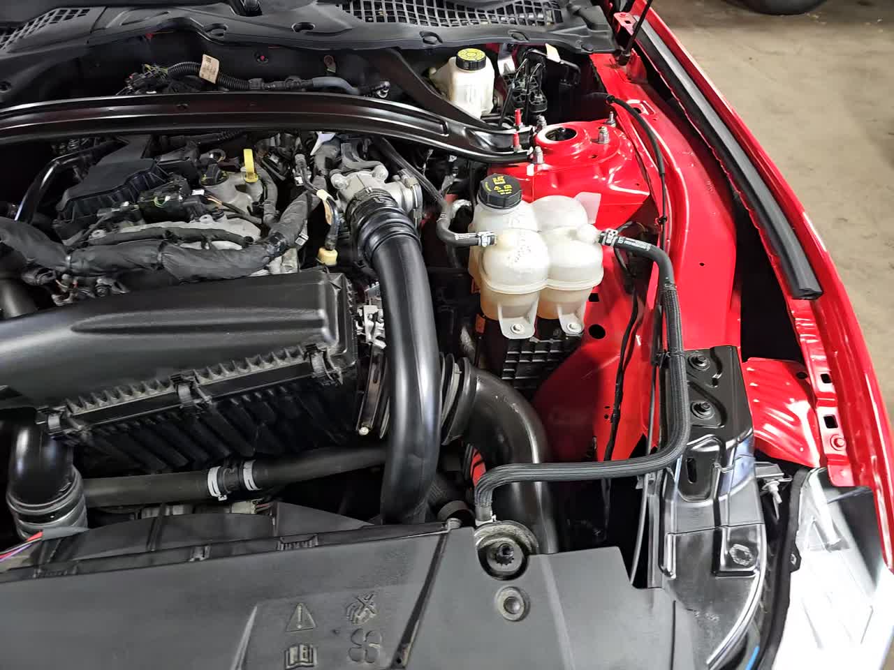 2024 Ford Mustang EcoBoost RWD