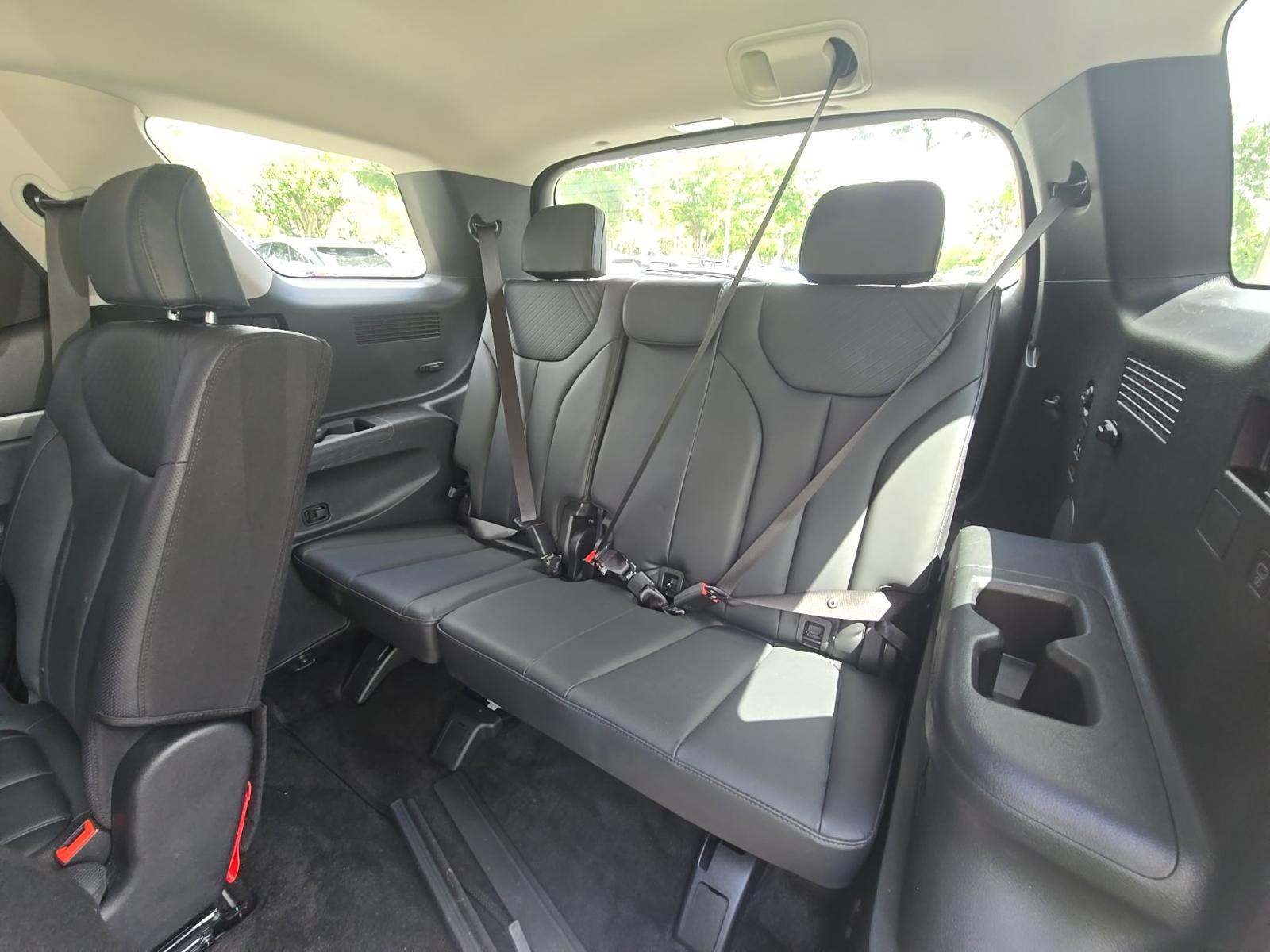 HYUNDAI PALISADE - 10