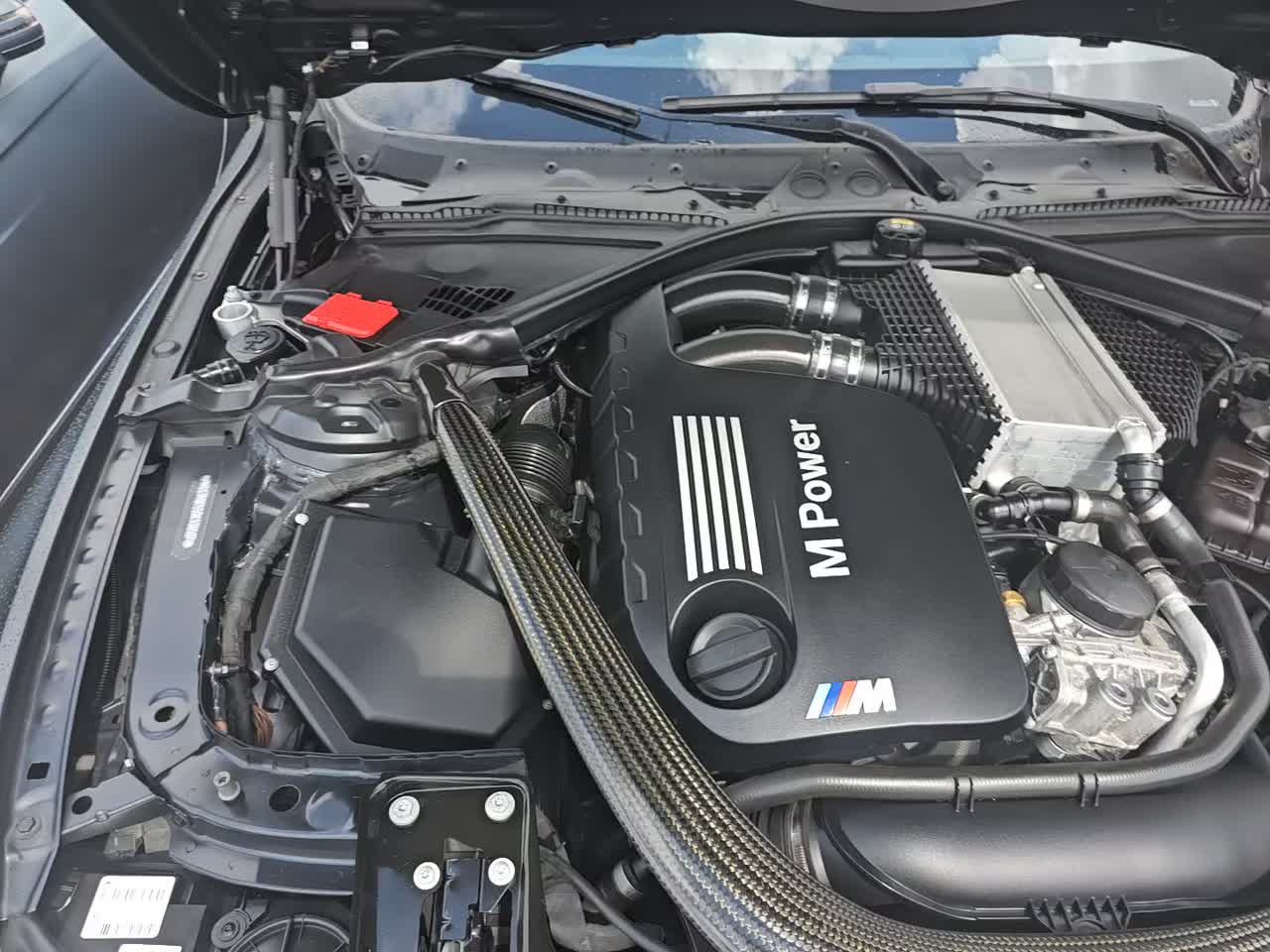 2016 BMW M4 Base RWD