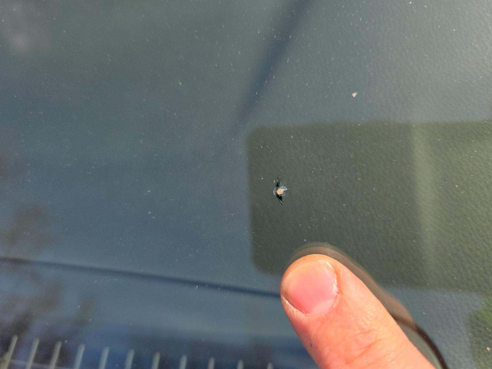 2024 Toyota Camry SE FWD