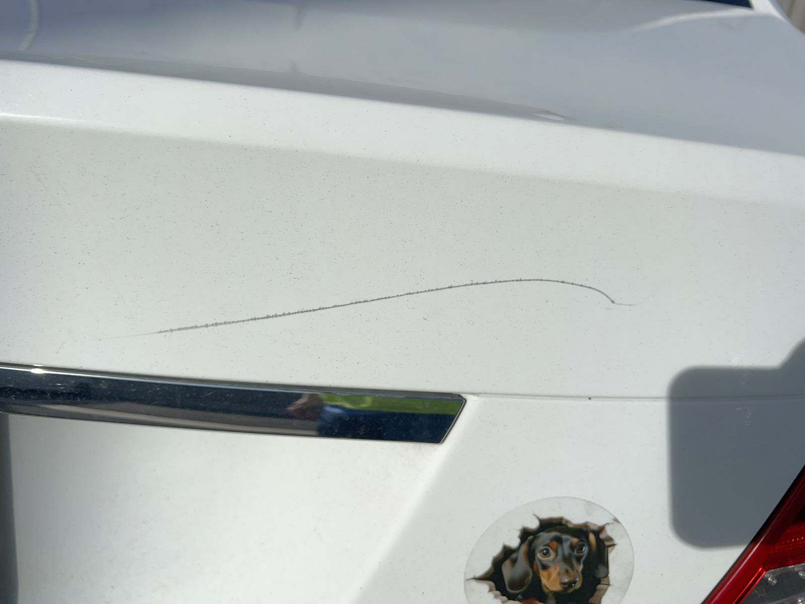 2013 Mercedes-Benz C-Class C 250 Luxury RWD