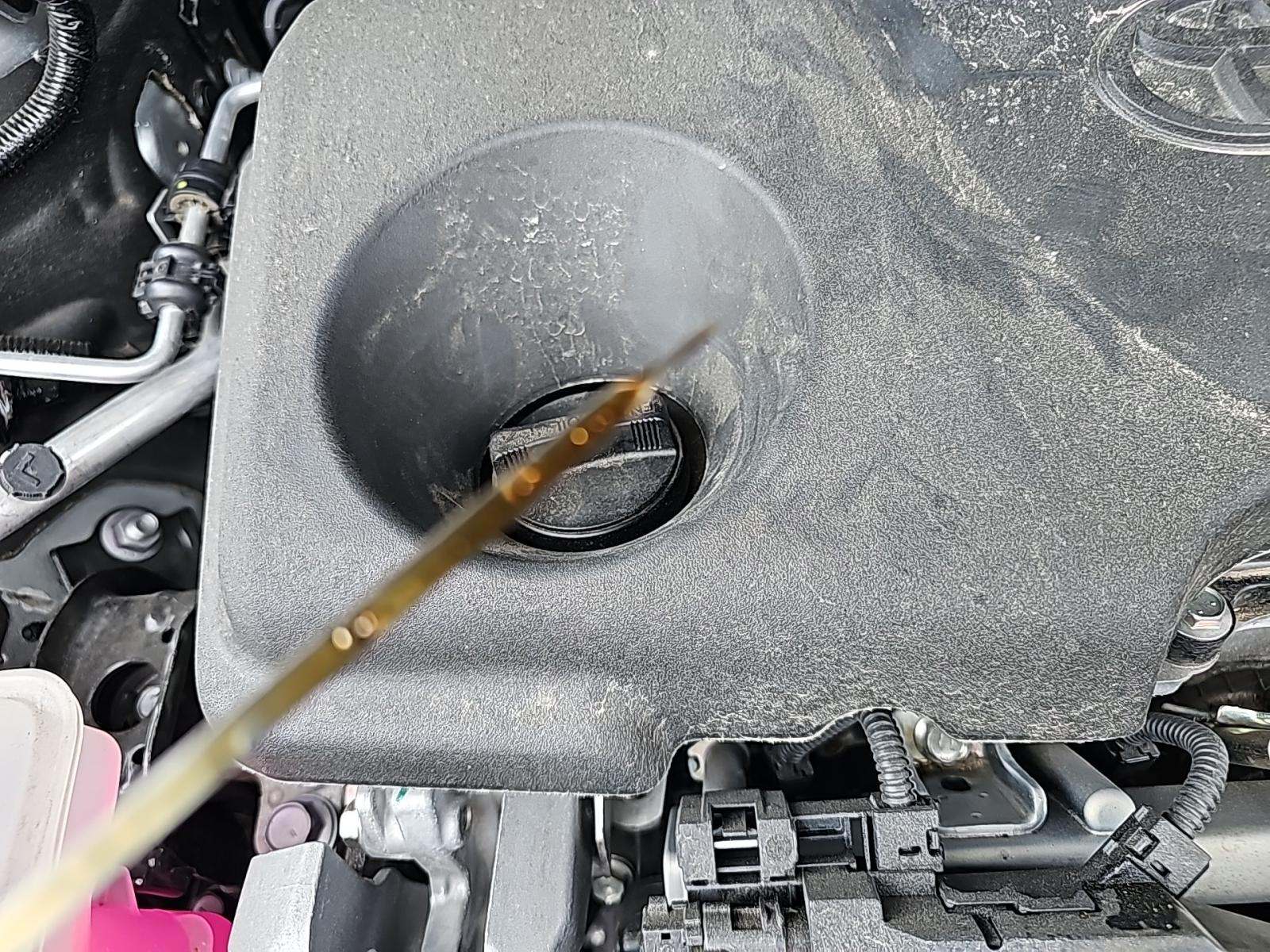 2024 Toyota Highlander Hybrid XLE FWD