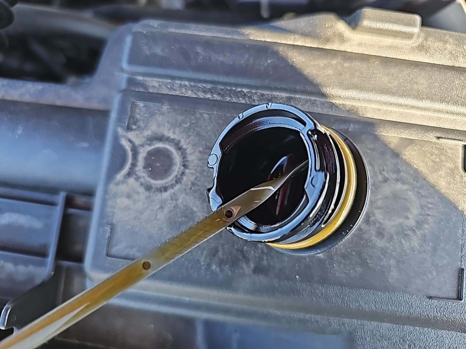 2023 Ford Escape Platinum AWD