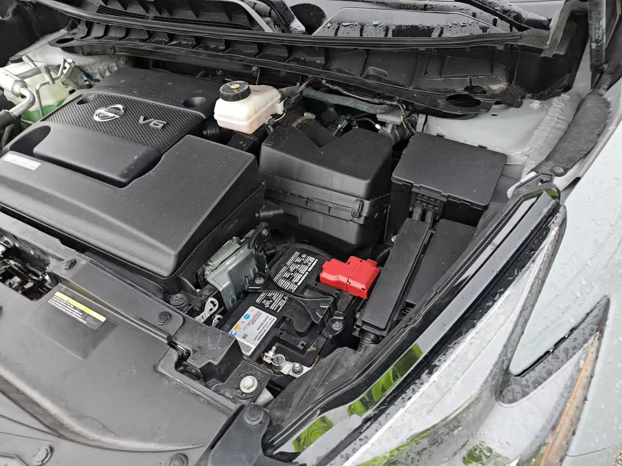 2023 Nissan Murano Platinum AWD