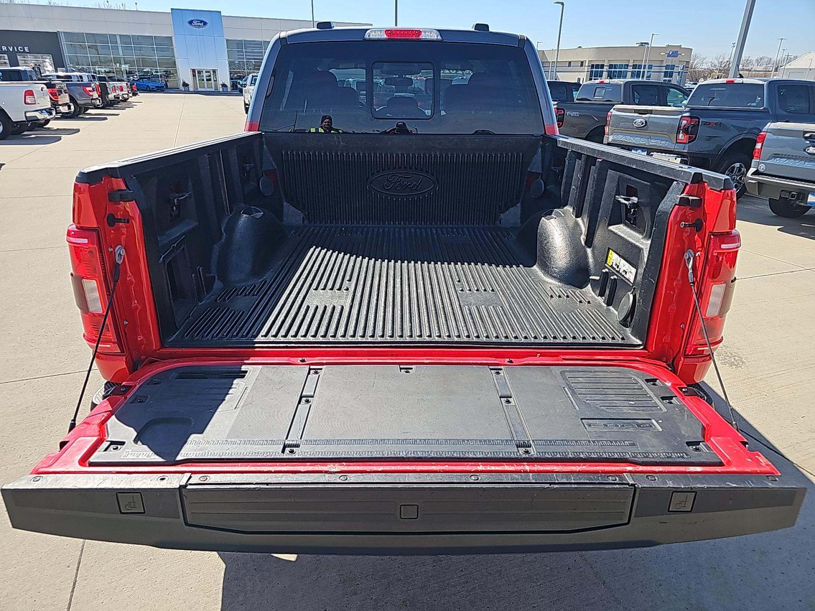 FORD F-150 - 10