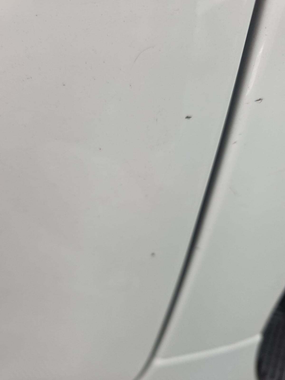 2019 Jaguar XJ L Portfolio RWD