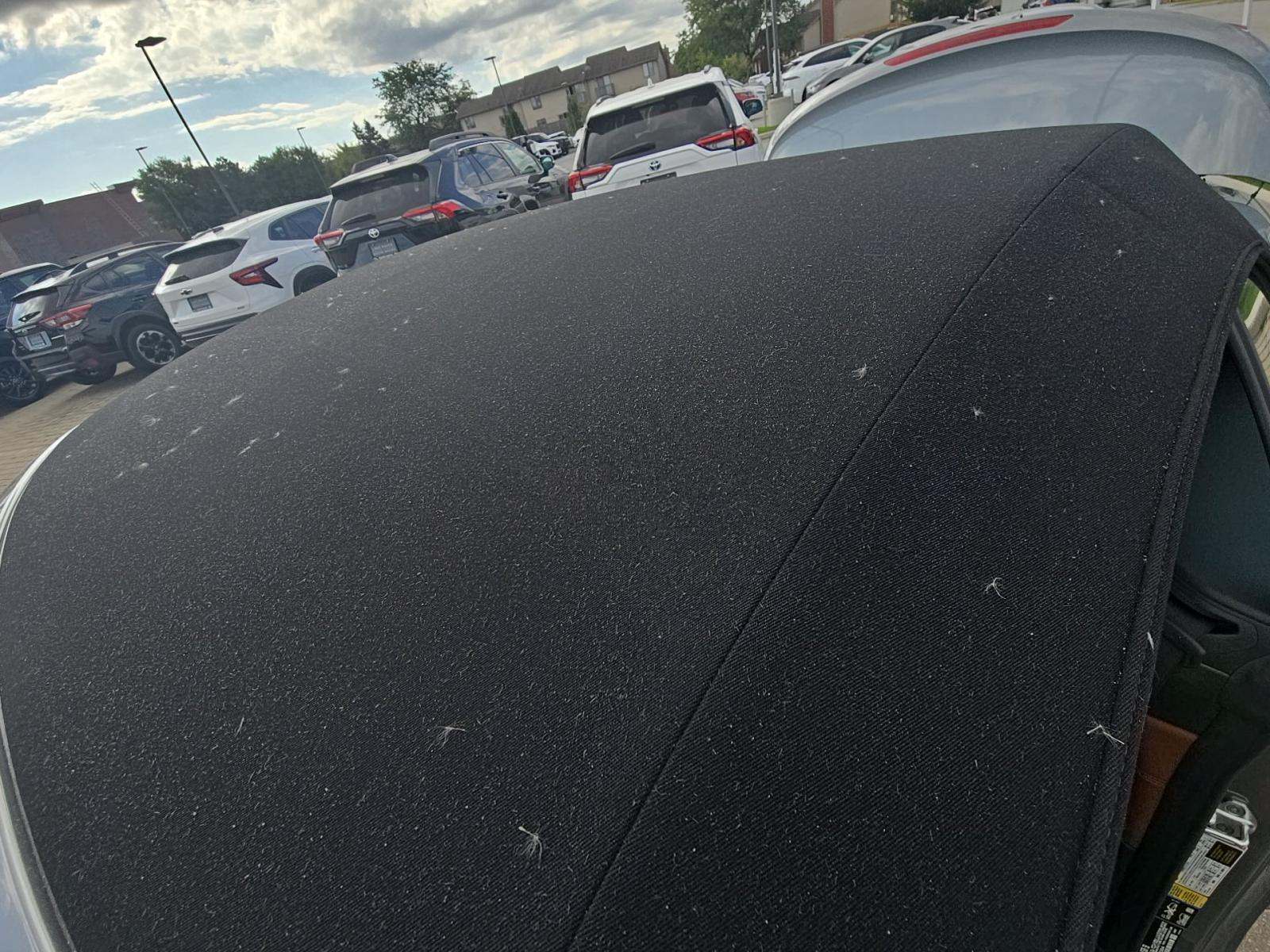 2022 BMW M4 Competition xDrive AWD