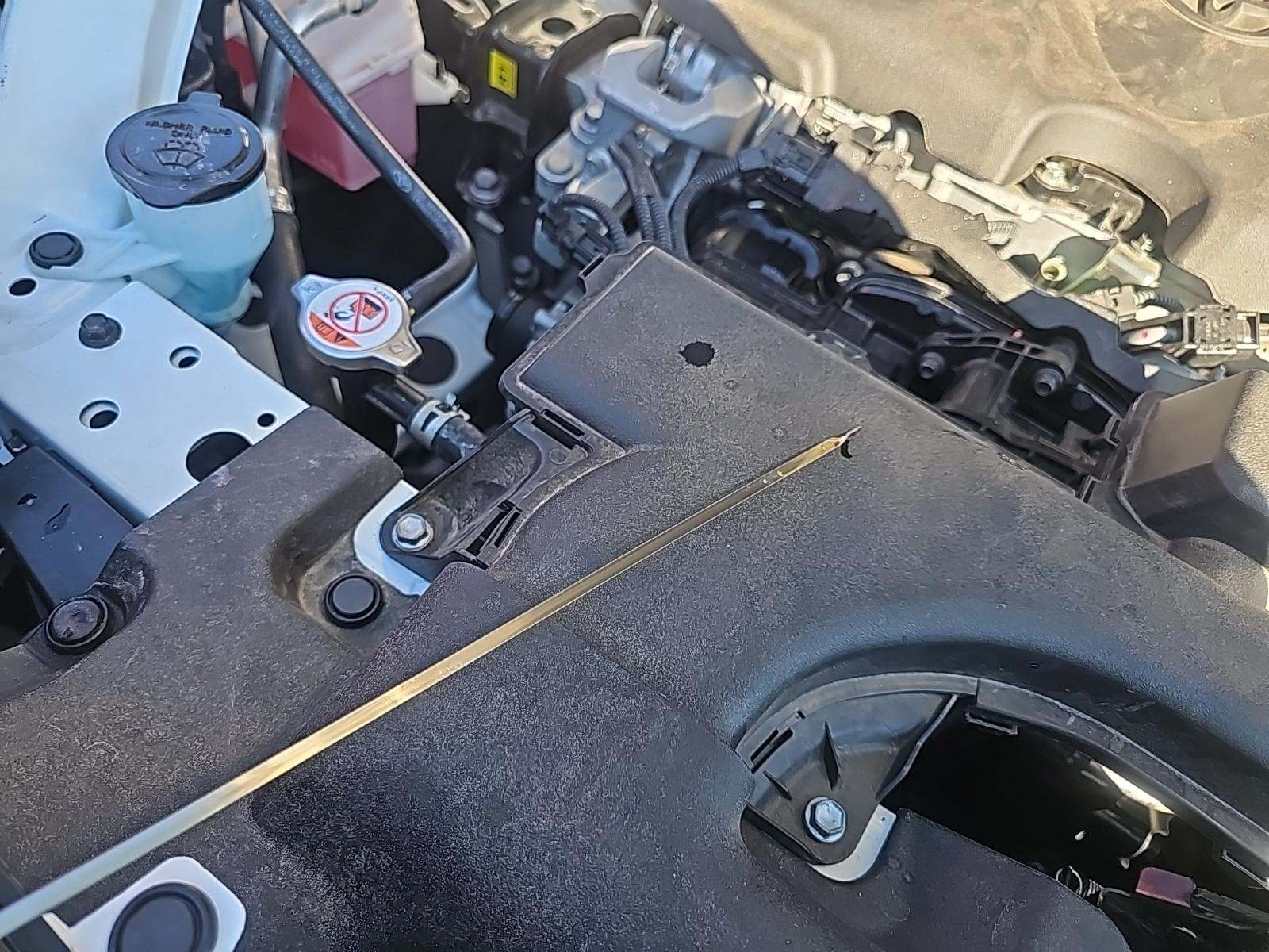 2025 Toyota RAV4 XLE FWD