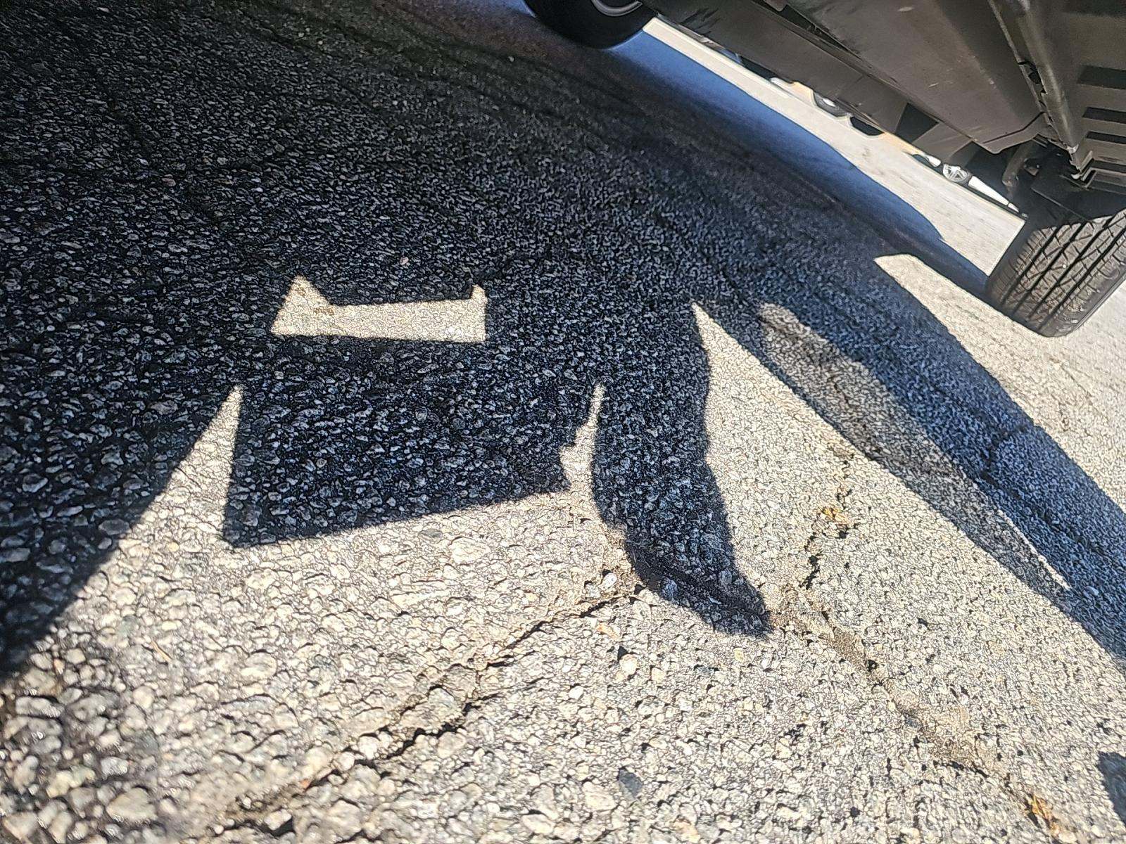 2025 Toyota RAV4 XLE FWD