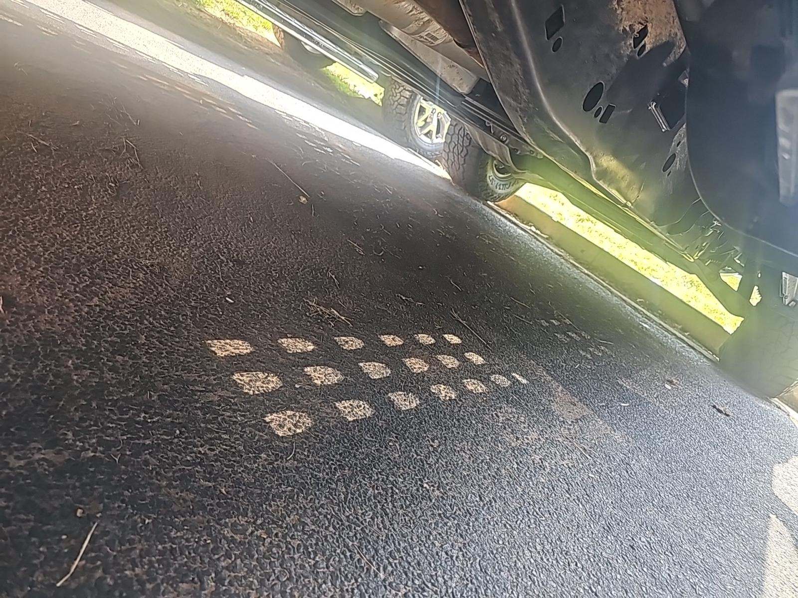 2018 Ford F-150 Raptor AWD