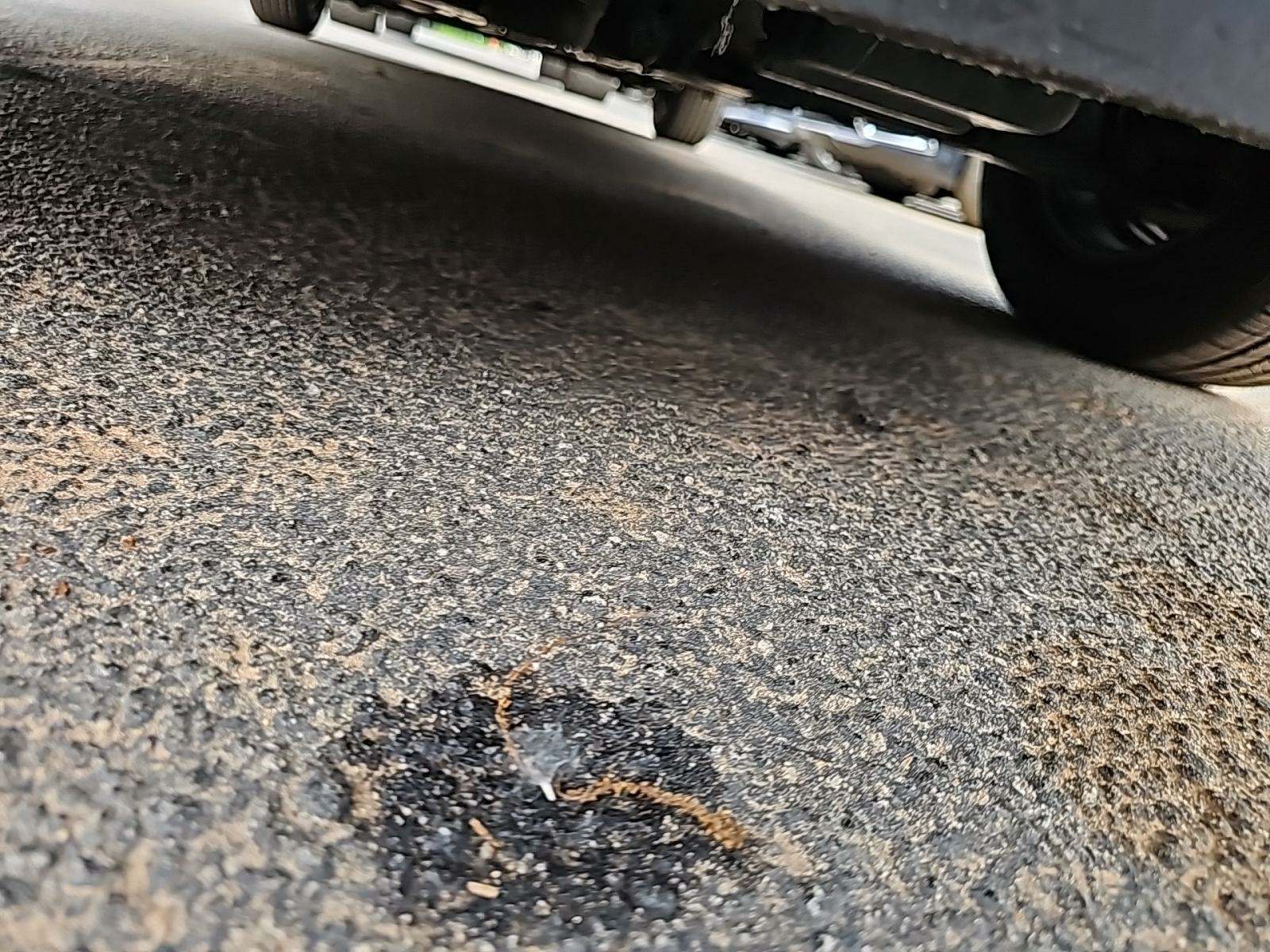 2019 Dodge Grand Caravan SE FWD