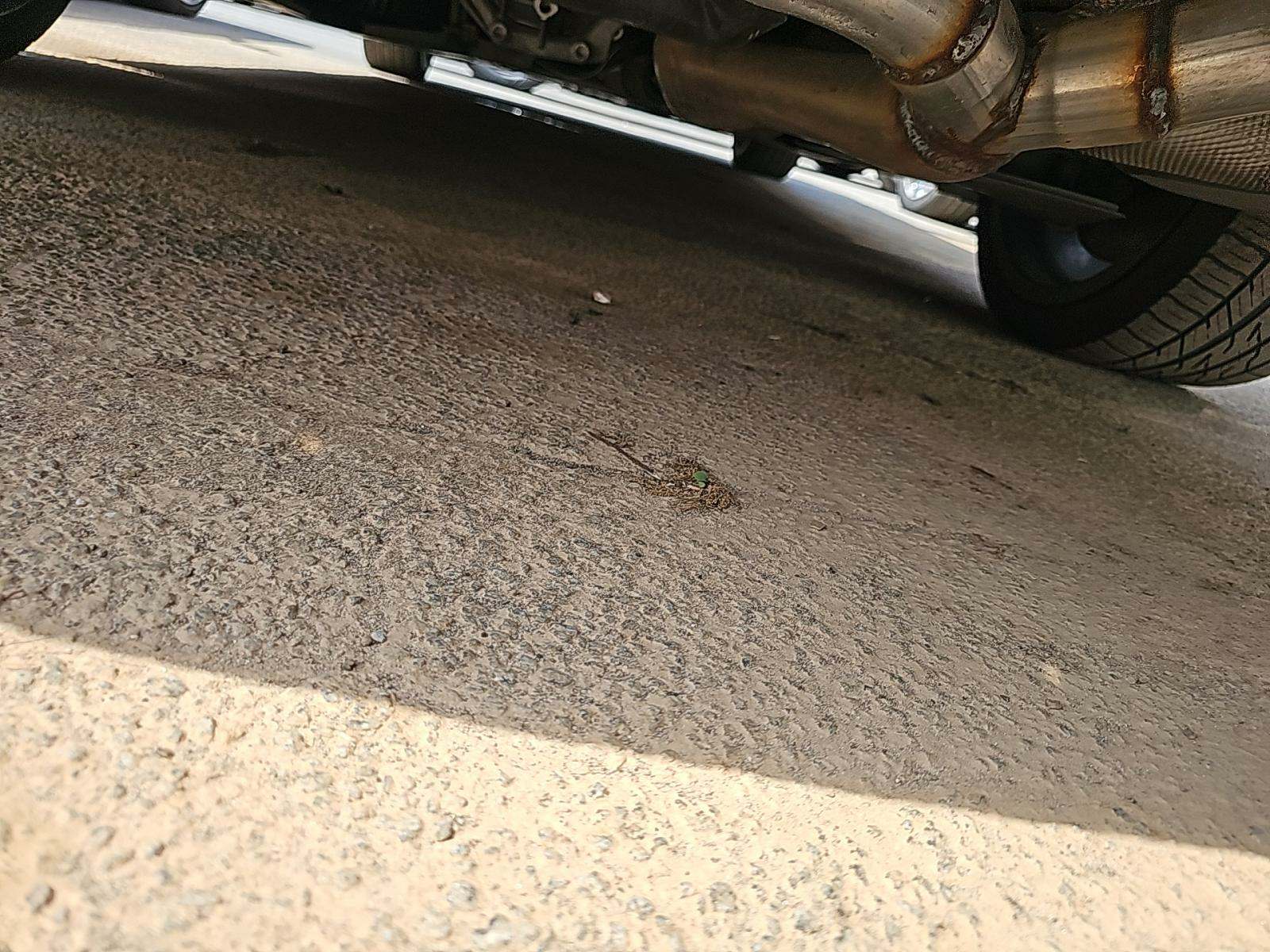 2020 BMW 3 Series 330i RWD