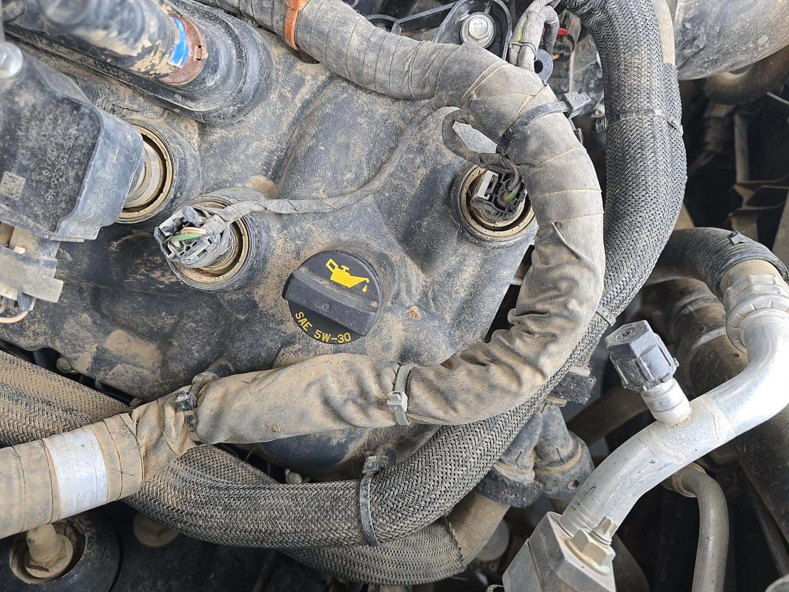 2023 Ford F-150 Tremor AWD