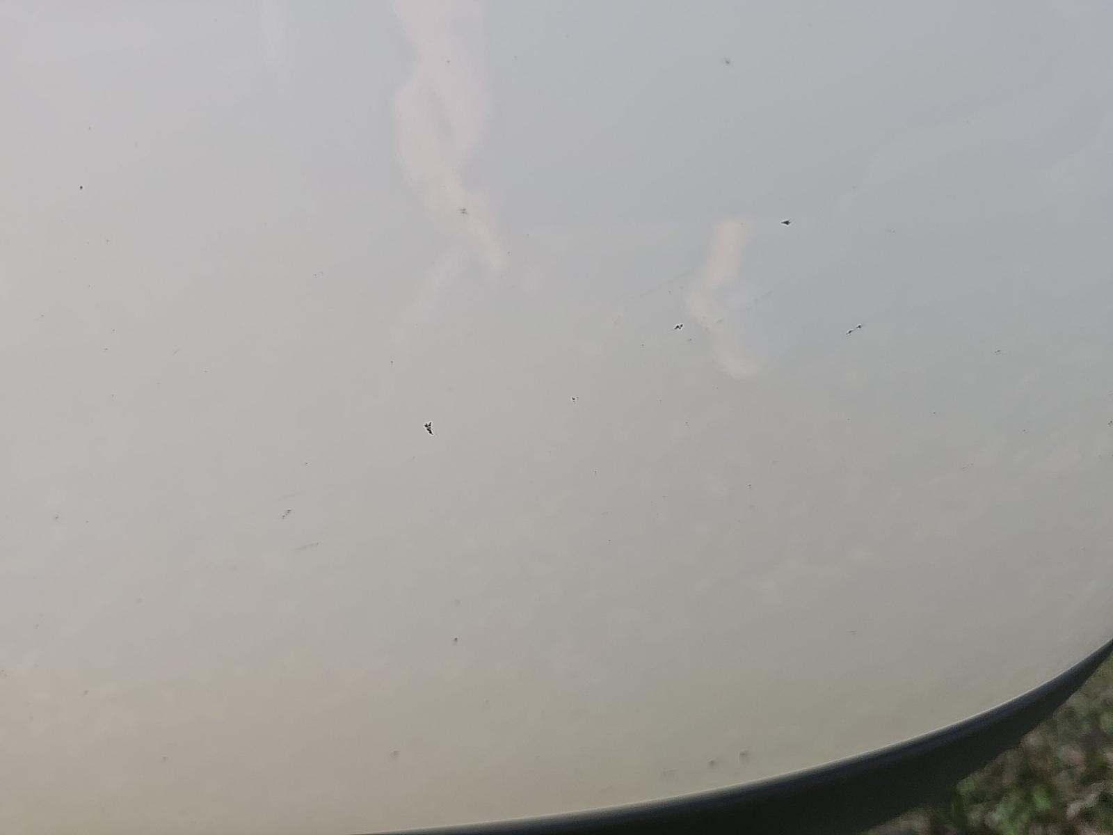 2023 Dodge Challenger R/T Scat Pack Widebody RWD