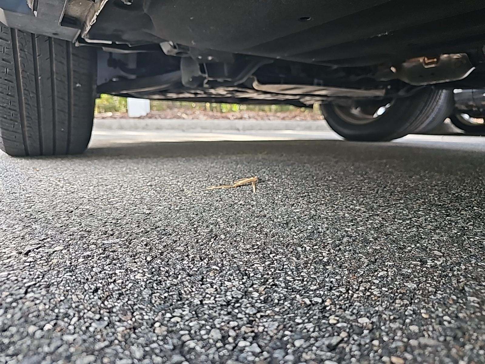 2023 Hyundai Santa Fe SEL AWD