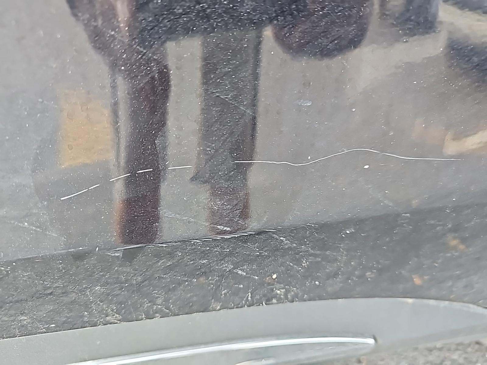 2023 Ford Explorer XLT RWD