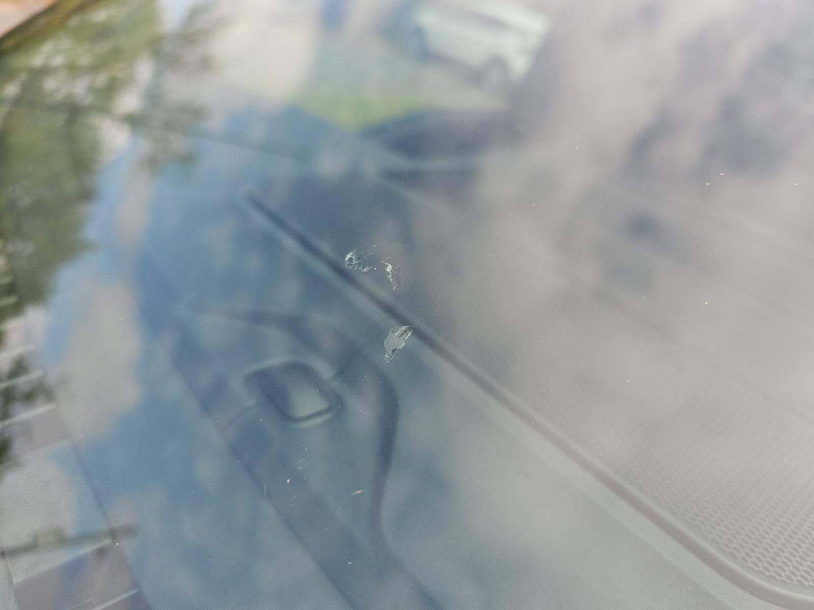 2025 Ford F-150 Hybrid XLT AWD