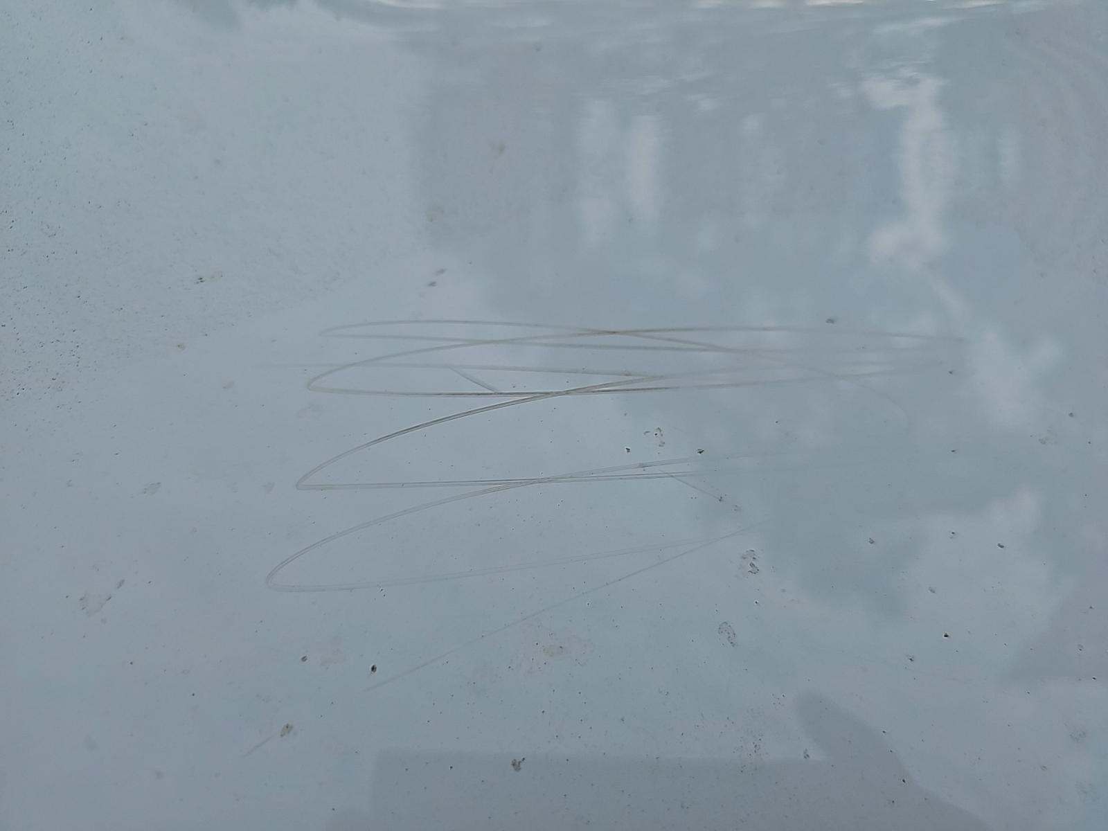 2022 Dodge Durango Orange Sport RWD