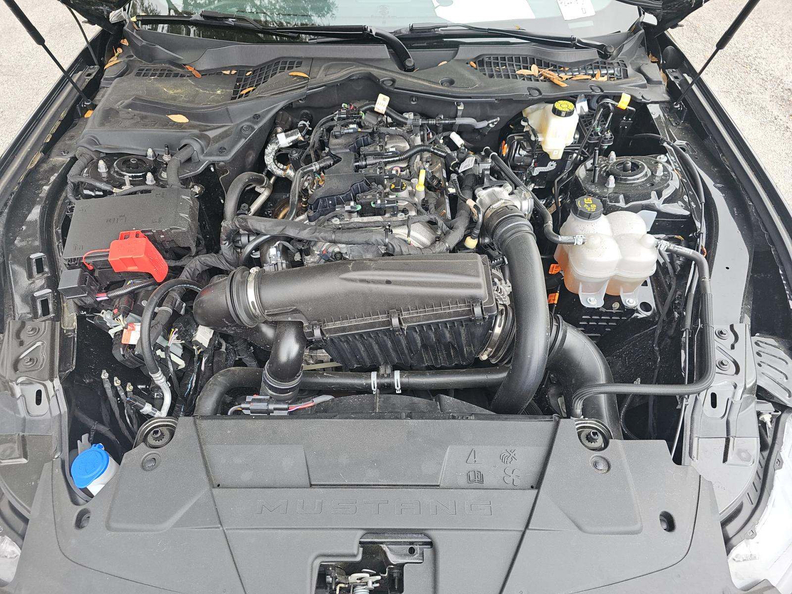 2025 Ford Mustang EcoBoost Premium RWD