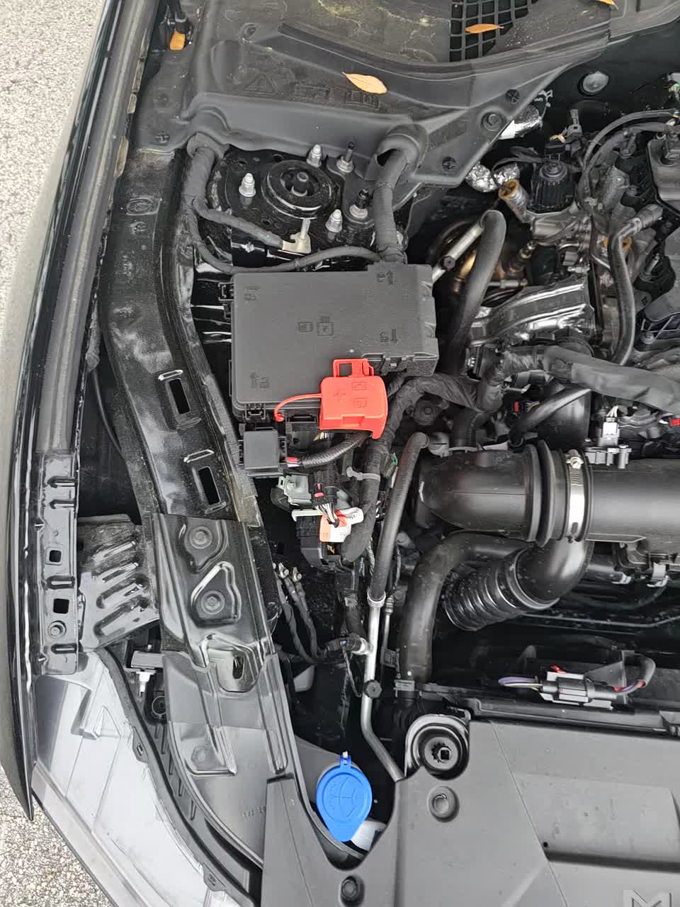 2025 Ford Mustang EcoBoost Premium RWD