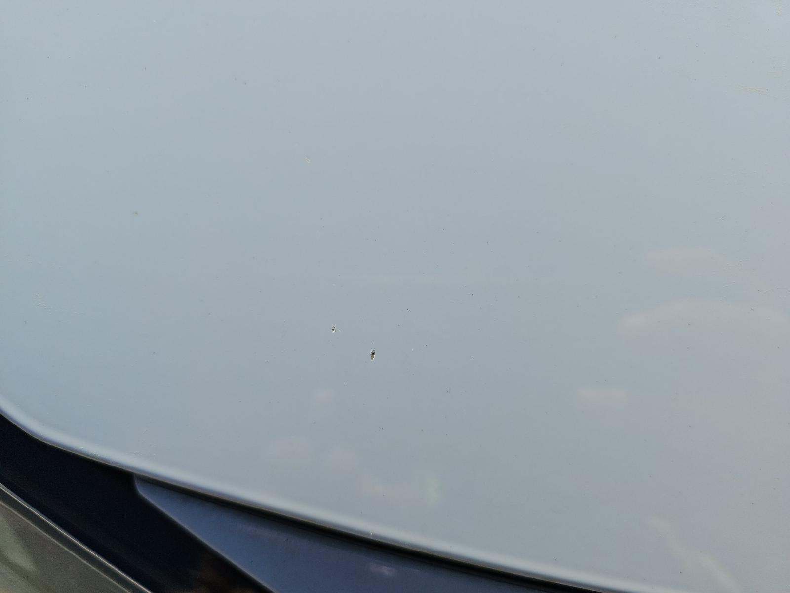 2019 Toyota RAV4 LE FWD