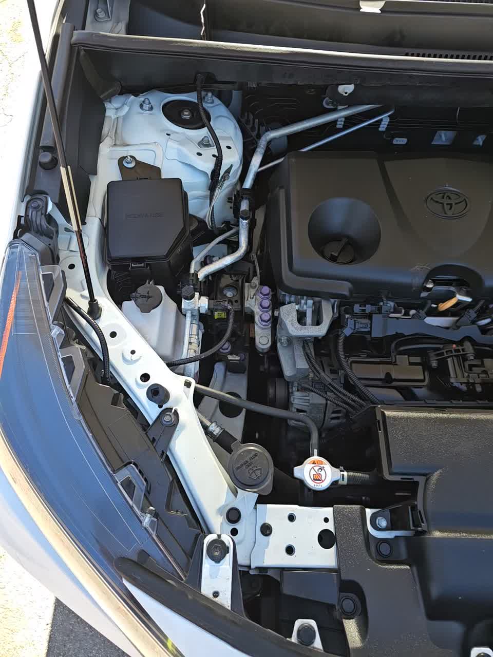 2019 Toyota RAV4 LE FWD