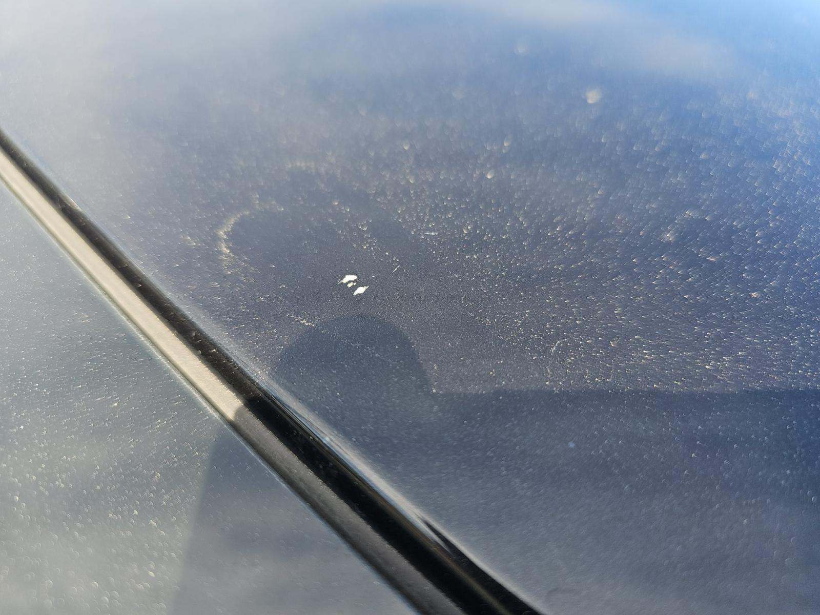 2020 BMW X6 M Competition AWD