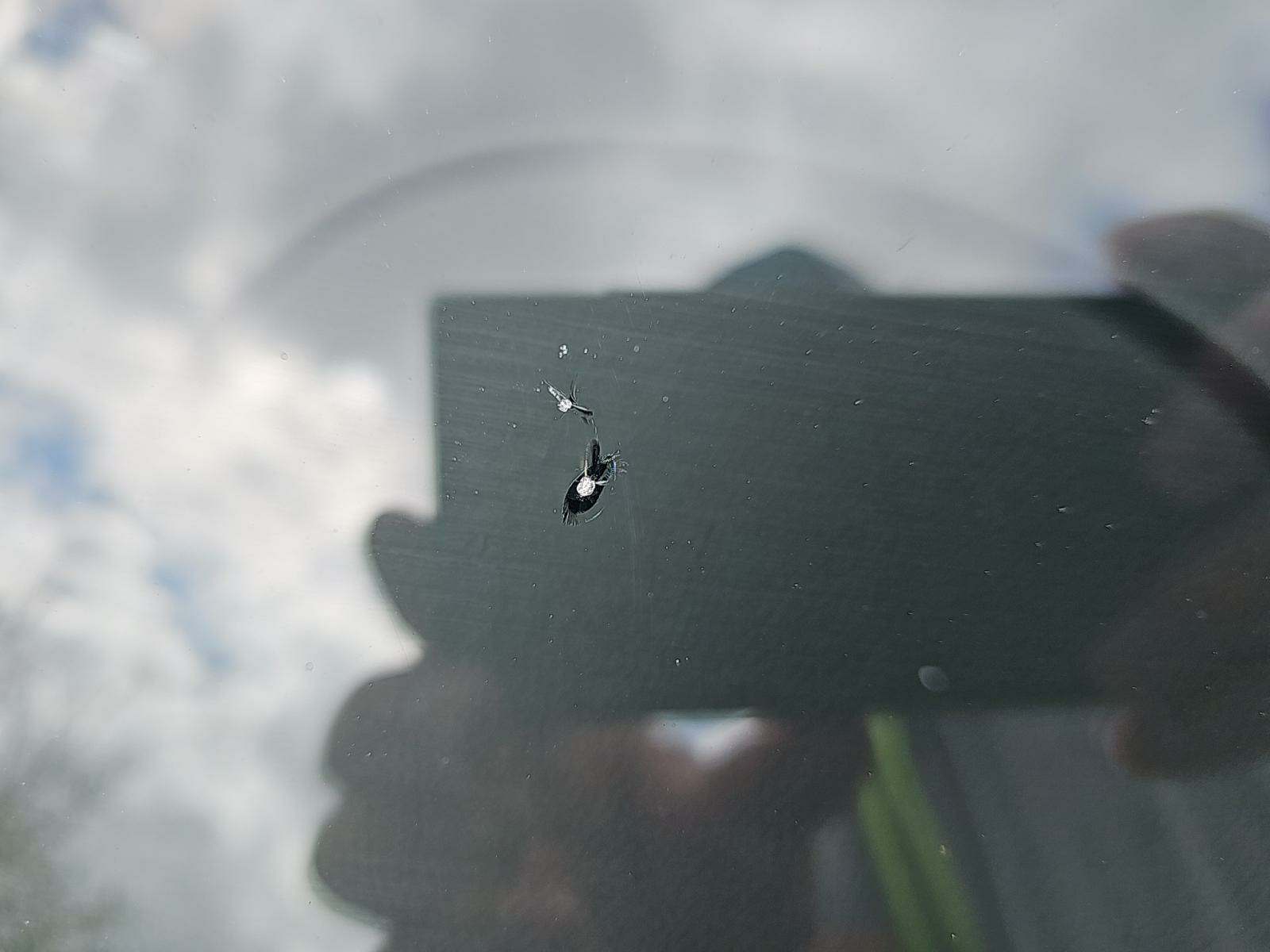 2016 BMW M3 Base RWD