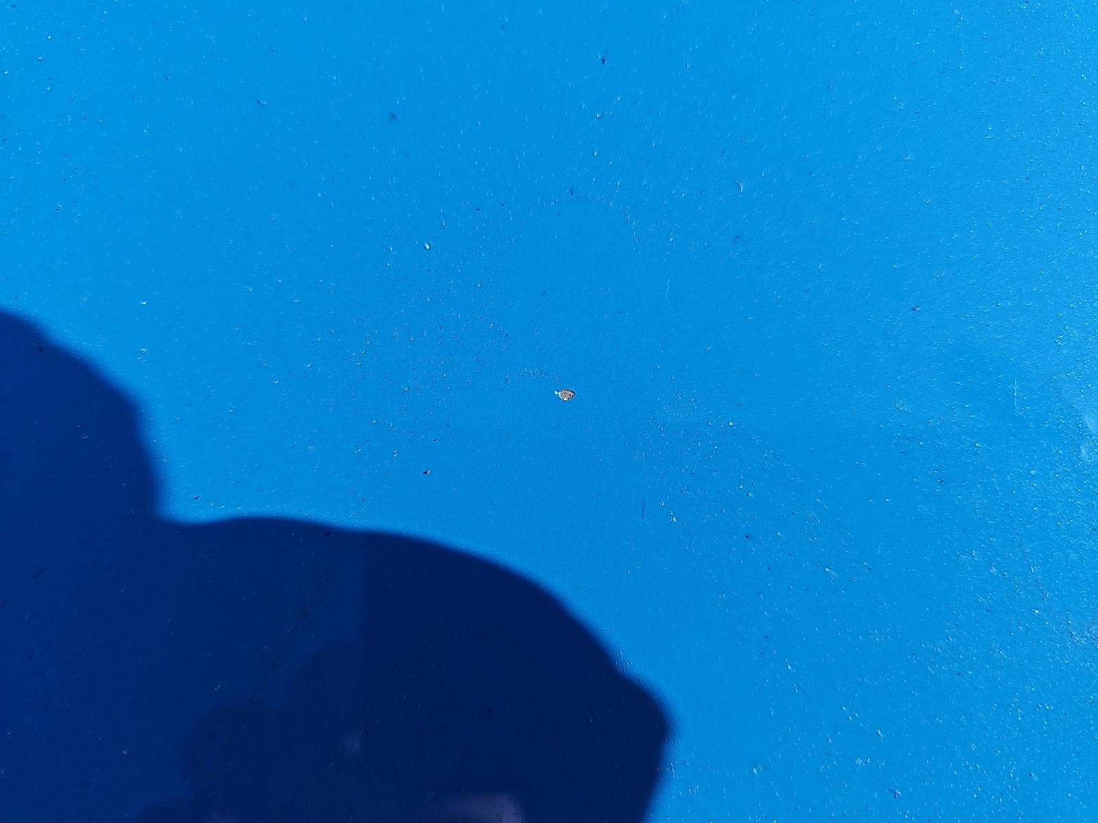 2024 Ford Mustang EcoBoost Premium RWD