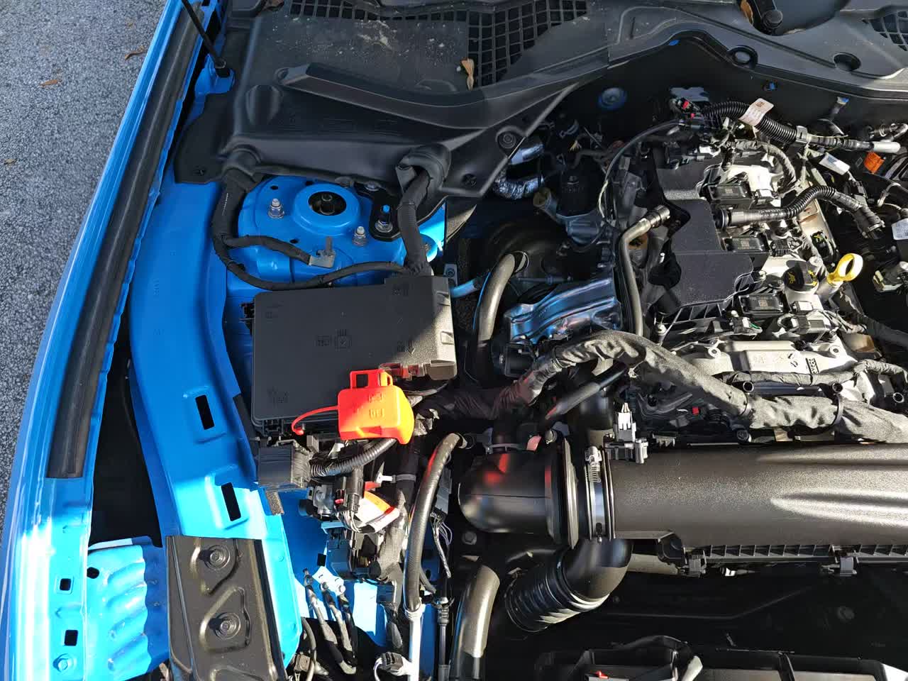 2024 Ford Mustang EcoBoost Premium RWD