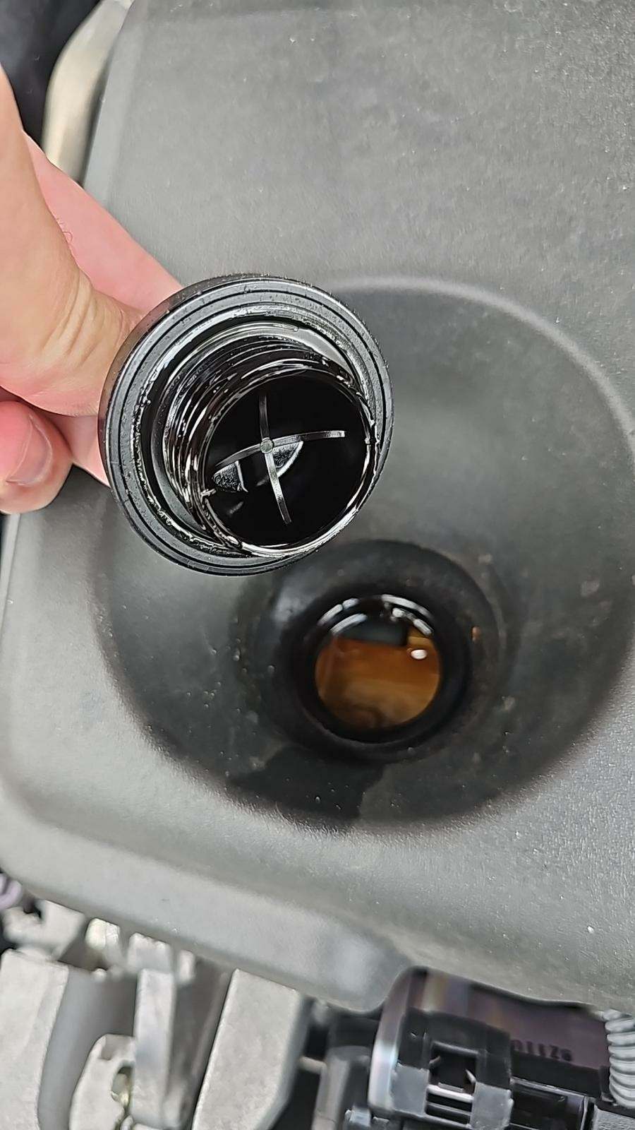 2019 Toyota RAV4 XLE Premium FWD