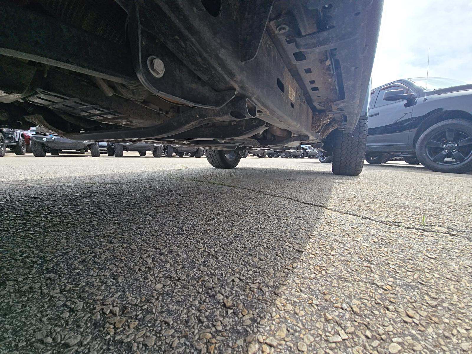 JEEP 4XE BACKCOUNTRY - 3