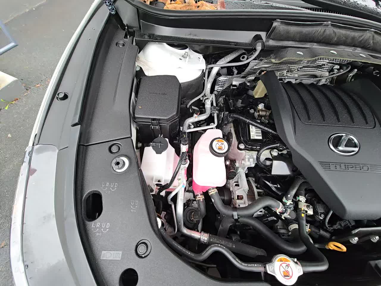 2024 Lexus RX RX 350 Premium AWD