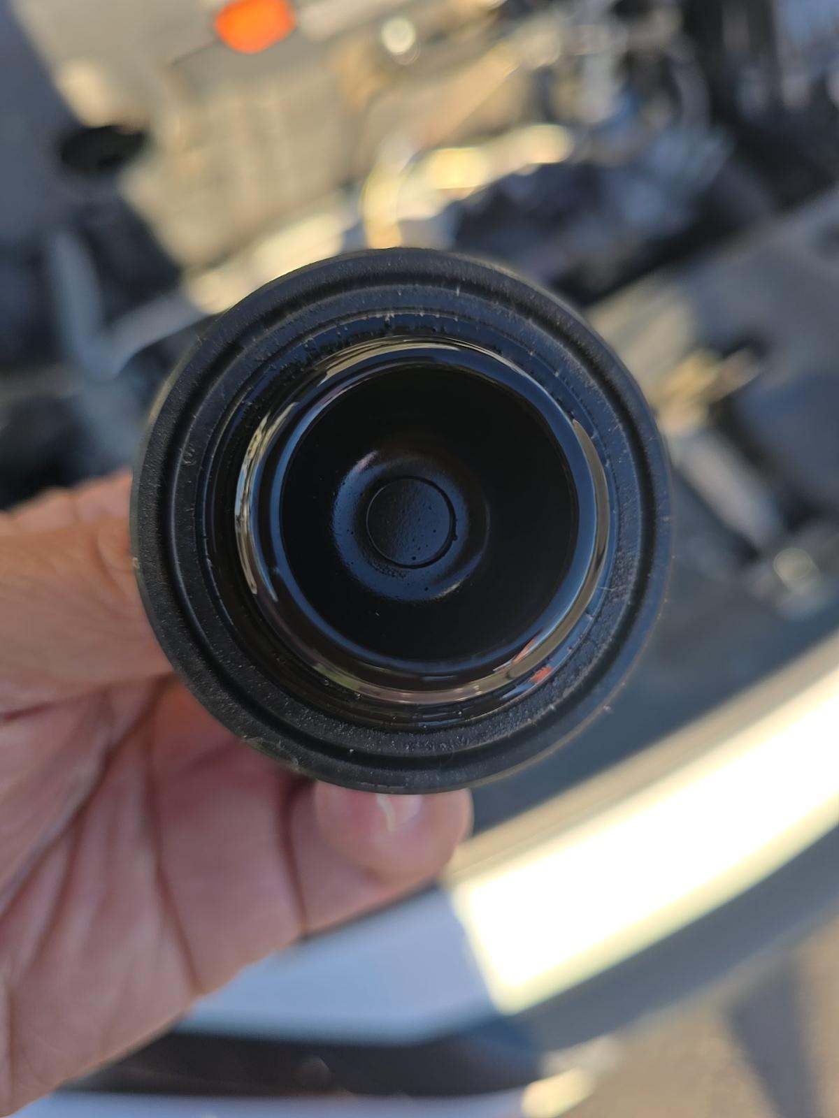 2019 Honda Civic Sport FWD