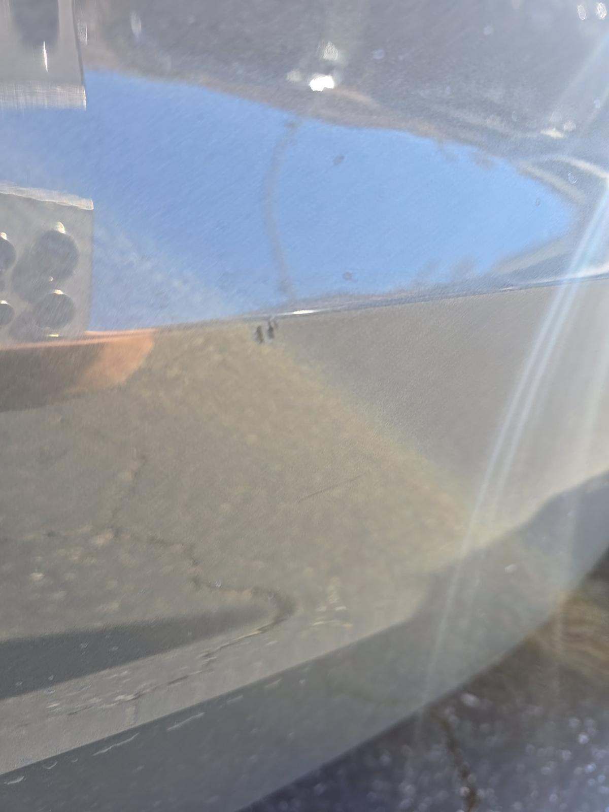 2024 Audi A4 S line Premium Plus AWD