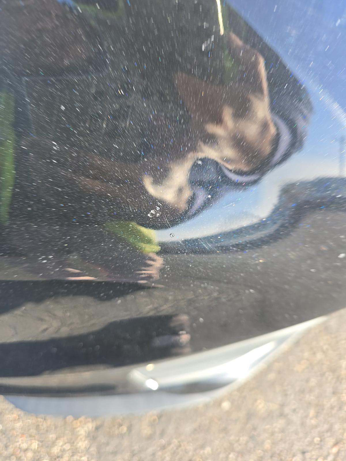 2023 Toyota Sienna XLE FWD