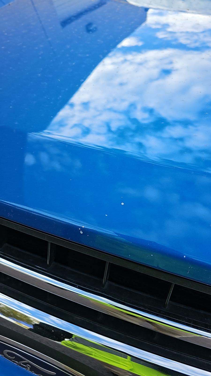 2019 Ford F-150 XLT RWD