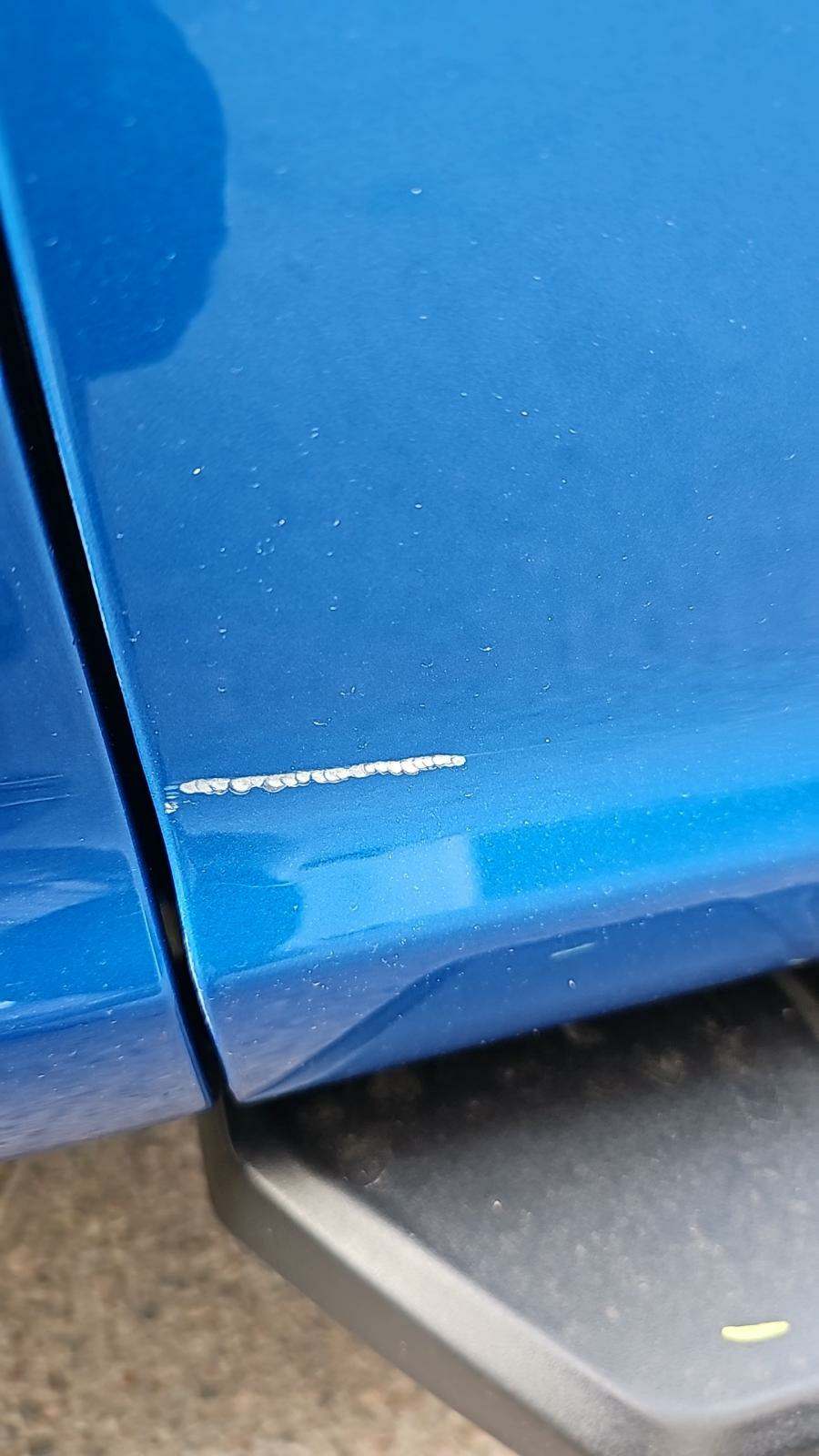 2019 Ford F-150 XLT RWD