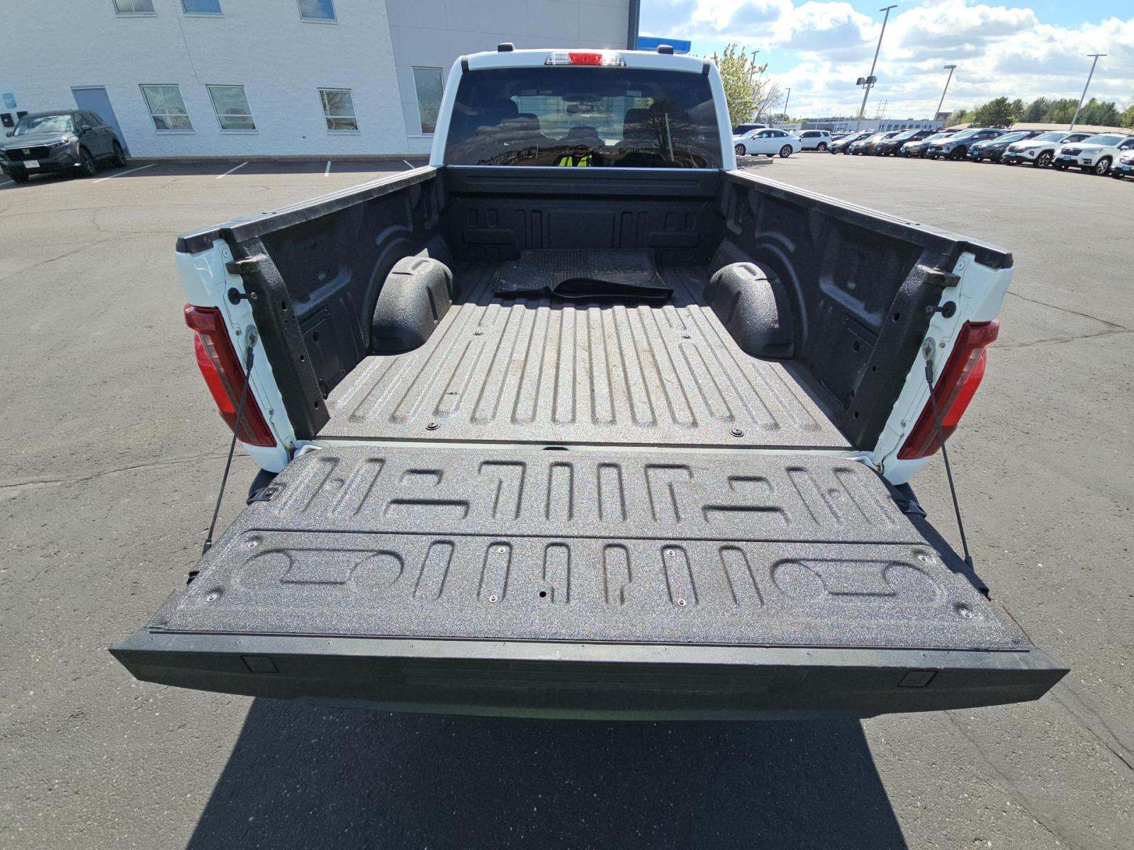 FORD F-150 - 10