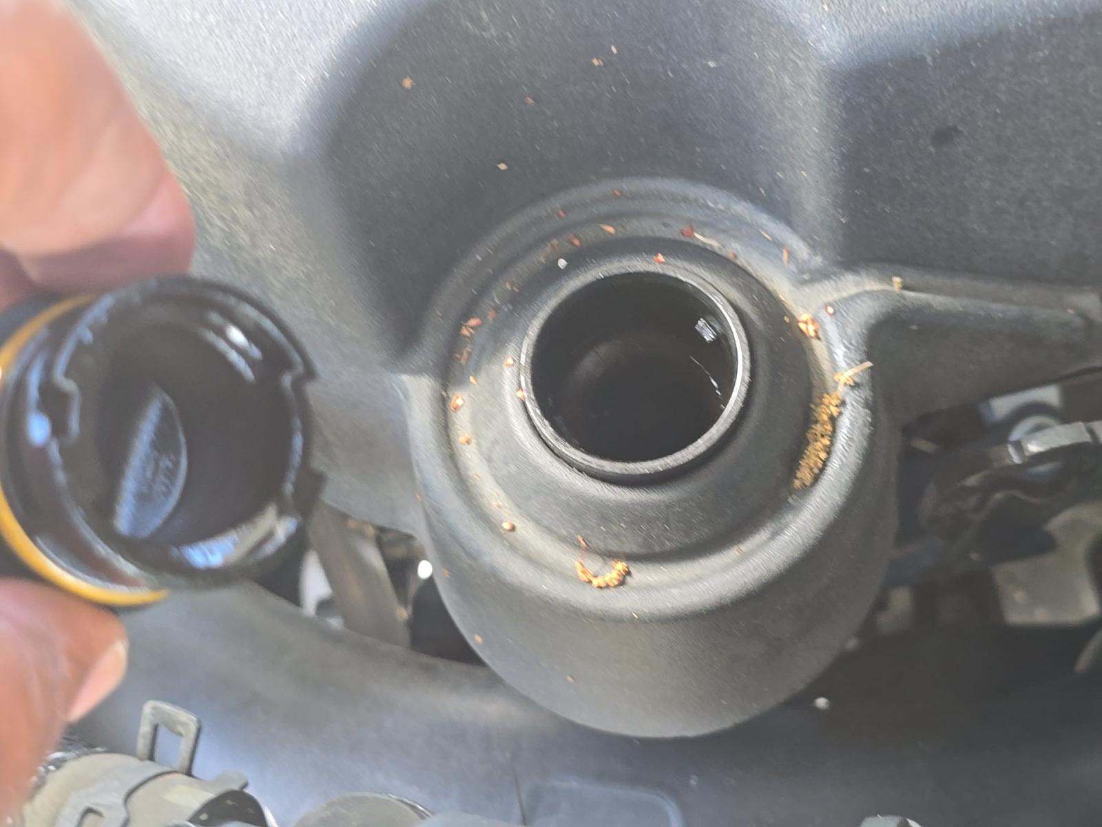 2019 Ford F-150 Raptor AWD